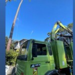 Nicolas Bergé de Nico bois et forêt et son partenaire, en train d'abattre un arbre dangereux dans les Landes.