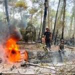 Nicolas Bergé de Nico bois et forêt et son partenaire, en train d'abattre des arbres, suite aux incendies en Gironde.
