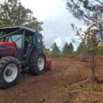 Nico bois et forêt, en train d'effectuer une prestation d'entretien d'un sous-bois dans les landes.