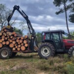 Nico bois et forêt, en train d'évacuer des arbres, dans un sous-bois.
