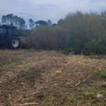 Nico bois et forêt, en plein nettoyage de sous-bois dans les Landes.
